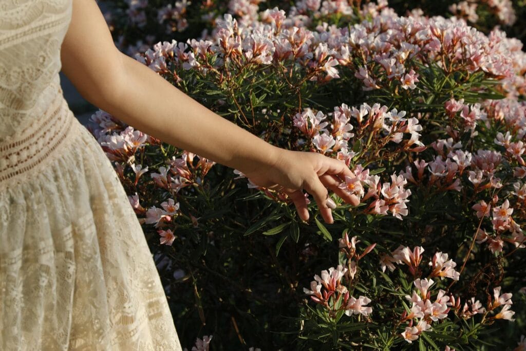 Flores rosadas